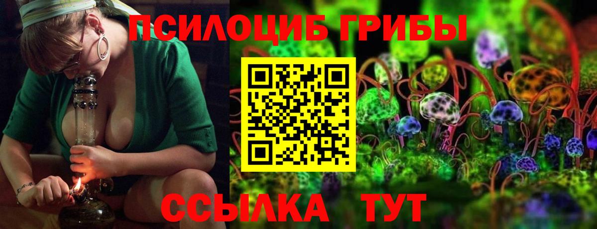 Псилоцибиновые грибы прущие грибы Муром